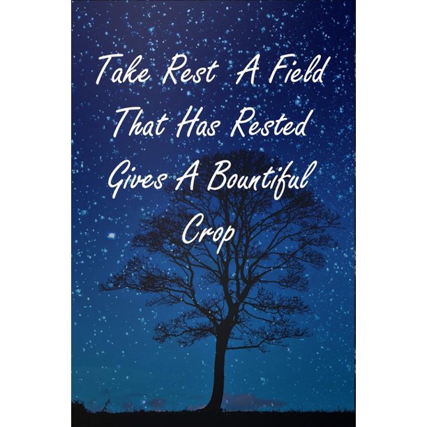maybe in another life quotes