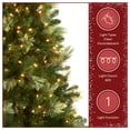thumbnail image 4 of National Tree Company 9 ft. Pre-Lit Charleston Pine Artificial Christmas Tree with 600 Clear Lights, Full Profile, 4 of 9