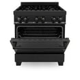 thumbnail image 5 of ZLine RAB30 30 In. Professional Dual Fuel Range, 5 of 22