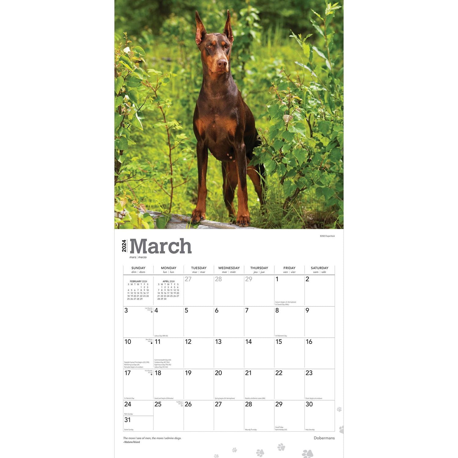 BrownTrout Dobermans 2024 12x24 Inch Square Wall Calendar, 9781975462581