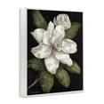 thumbnail image 2 of Stupell Industries Traditional Budding Magnolia Blooms White Framed Giclee Art, 11 x 14, by Nan, 2 of 8
