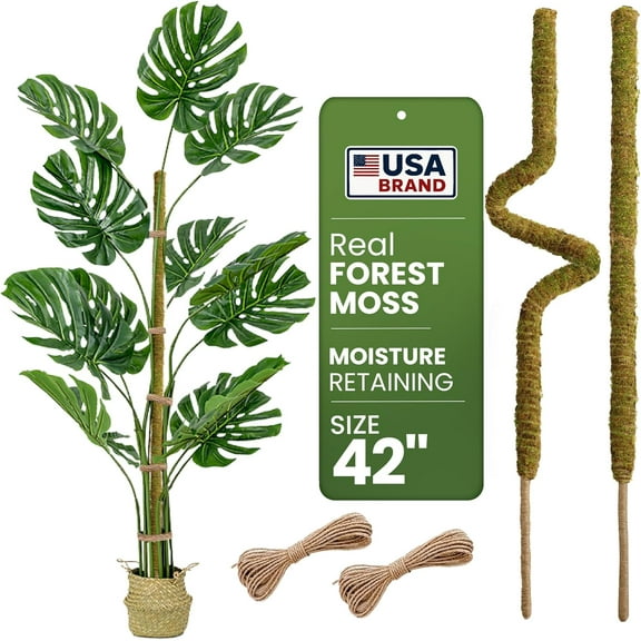 2 Pack 42'' Bendable Moss Pole Monstera Plant Support - Real Forest Moss for Climbing Indoor Plants - Stakes for Potted Climbers - Tall Sticks Indoor Trellis for Houseplants - Pot Accessories