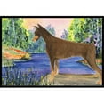 thumbnail image 1 of Carolines Treasures SS8066MAT Tapis d'Extérieur Intérieur Doberman 18 x 27 Po, 1 of 4