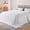 White, variant on Topblan 120"x132" All Season Oversized King Comforter Down Alternative Comforter, Lightweight Bedding Comforter Duvet Insert with 8 Corner Tabs, Gray
