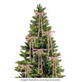 thumbnail image 4 of Moños Holiday Time Moño decorativo navideño, 4 of 4