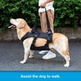 thumbnail image 3 of Arnés de levantamiento de perros Yrenoer, chaleco de apoyo a la rehabilitación, negro, XL, 3 of 7