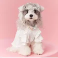 thumbnail image 2 of Ropa Para Perros Ropa De Verano, 2 of 7