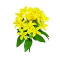 thumbnail image 3 of Viflosae Fake Flower Spring Decor Artificial Lilys Flowers Are Suitable for Wedding Decorations Living Room Displays And Floral Arrangements for Various Occasionsed, 3 of 7