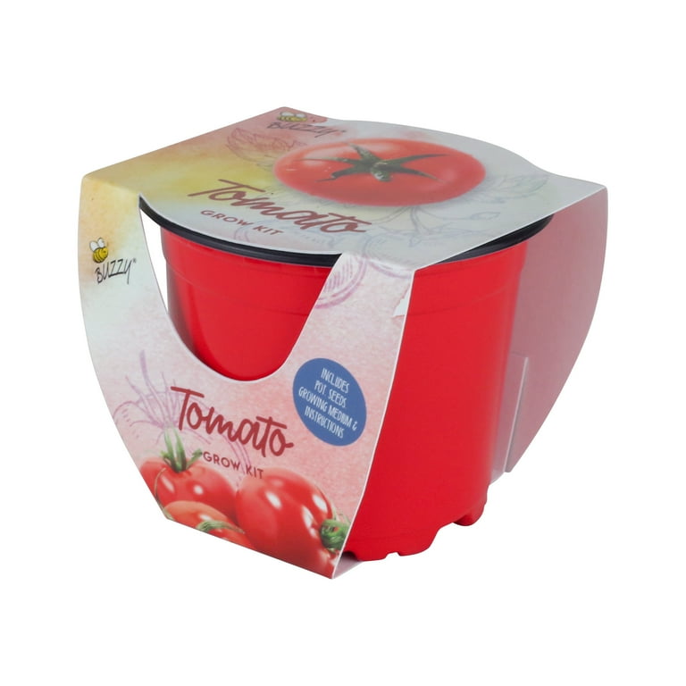 Apple - トマト Napa Grape Hybrid Tomato (Small-Fruited) - Pahl's Market