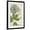 Black Frame, variant on Art.com Queen Anne's Lace Art Print by Weinmann, 12" x 18"