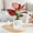 Clear, variant on Sktrjpolfis Plastic Self-Watering Plant Pots 4.52x3.94in Indoor Flower Pot with Water Reservoir for Home Office Decoration