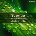 thumbnail image 4 of Scentia W Magic Hotel Diffuser Oil Inspired by W Signature Hotel - 50 mL 1.69 fl oz - Fragrance Oil Blend Bergamot, Lemongrass & Jasmine for Aromatherapy Diffusers and Humidifiers, 4 of 7