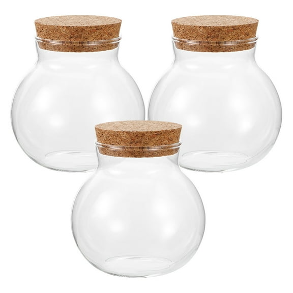 TEHAUX 3 Pcs Jars Plant Terrarium Propagation Station Eco Bottle