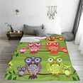 thumbnail image 2 of LNWH Colorful Owl Family Pattern Throw Blanket, Flannel Sofa Blankets for All Seasons, 80"x60", 2 of 8