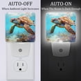thumbnail image 2 of Sea turtle Square LED Night Lights - Small, Portable Lighting for Any Room - Energy Efficient & Long-lasting - for Bedroom, Bathroom, and Hallway, 2 of 6