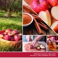 thumbnail image 3 of Vela Yankee Candle Ciderhouse Aromatizada 125 mL Colección Signature, 3 of 4