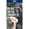 Why Dogs Smile and Chimpanzees Cry (DVD)