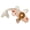 3, variant on Creative Decor Specifications Thoughtful Idea Unique Design Package Content Part Name Artificial Koi Fish Ornament 1 Smile Home
