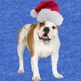 thumbnail image 2 of CafePress - Bulldog Santa - Cute Infant Baby Football Bodysuit, 2 of 3