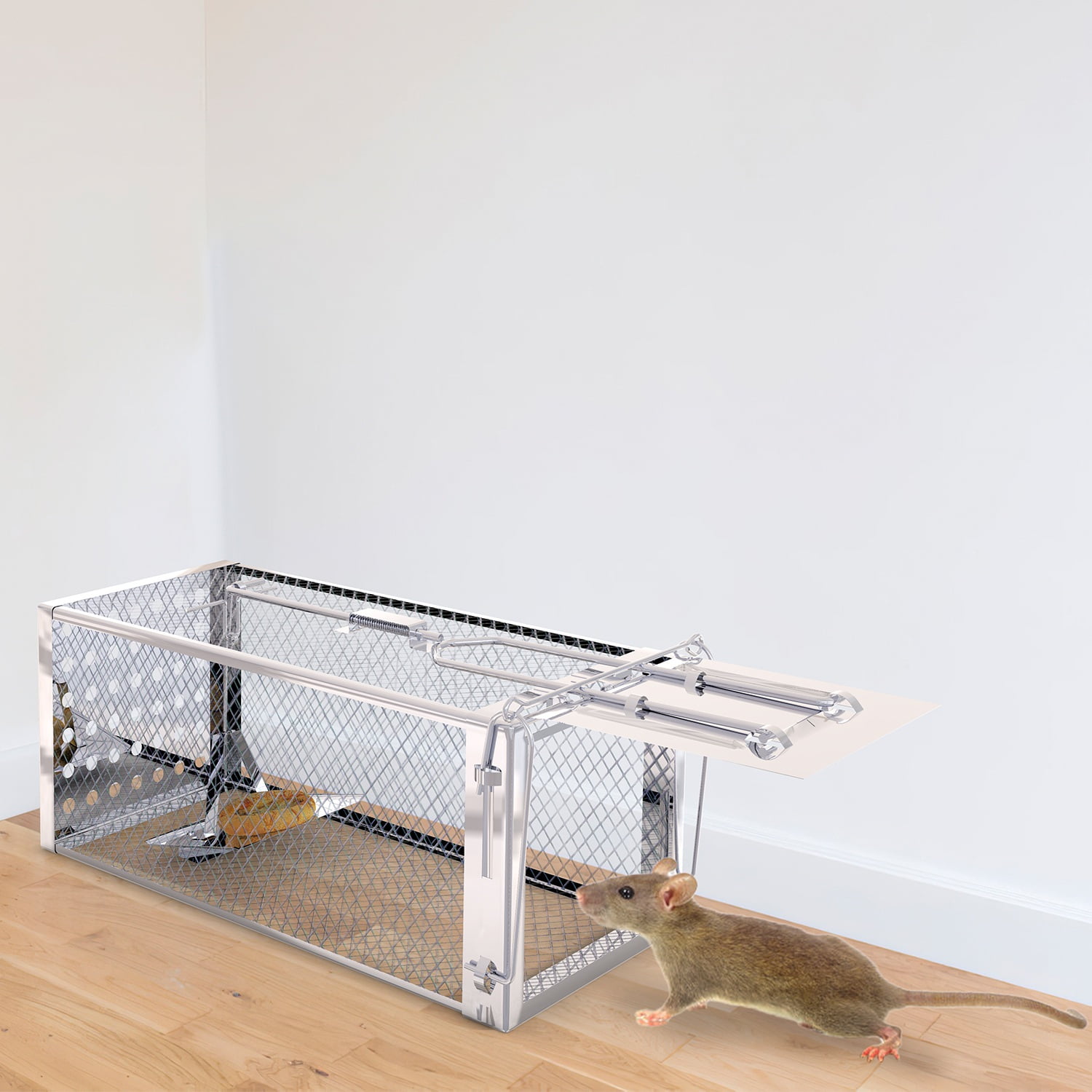 Stainless Steel Humane Live Animal Trap for Rats, Squirrels, Chipmunks & Mice - High Sensitivity Pedal, Auto-Lock Door - Safe for Indoor & Outdoor Use