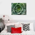 thumbnail image 5 of Orinice Flowers Fine Art Aesthetic Poster & Print Wall Painting for Home Office Decor Canvas Prints Living Room Bedroom 16x12in, 5 of 6