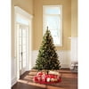 Holiday Time Pre-Lit 6.5' Colorado Pine Artificial Christmas Tree, Clear Lights