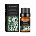 thumbnail image 1 of 20 Flavors Natural Essential Oils for Aroma Diffusers & Humidifiers, 10ml Water-Soluble Aromatherapy Fragrance Set for Home & Office Relaxation, 1 of 8