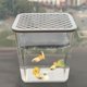 thumbnail image 5 of Pecera de Escritorio Tanque de Exhibición Acuario Compacto Y Terrario para Plantas Hidropónicas de Material Acrílico Duradero Adecuado para Regalos Y, 5 of 9