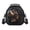 Dinosaur Black, variant on Jeiento Dinosaur Kids Mini School Lunch Bag Crossbody Lunch Tote for Boys Girls Age 4-6 Black Children School Lunchbox with Strap