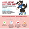 thumbnail image 6 of Bernie's Marvelous Mobility - Daily Dog Hip and Joint Supplement - Maintains Overall Well Being & Promotes a Healthy Immune System (90 Count), 6 of 9