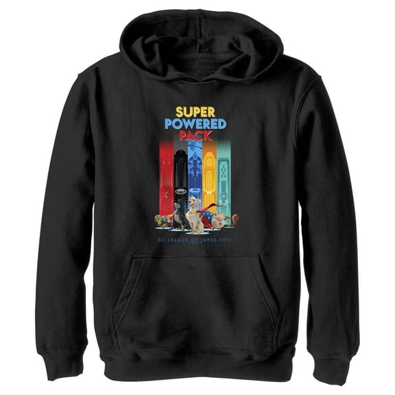 Boy's DC League of Super-Pets Super Powered Pack  Pull Over Hoodie Black X Large