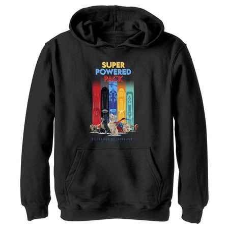 Boy's DC League of Super-Pets Super Powered Pack Pull Over Hoodie Black Small