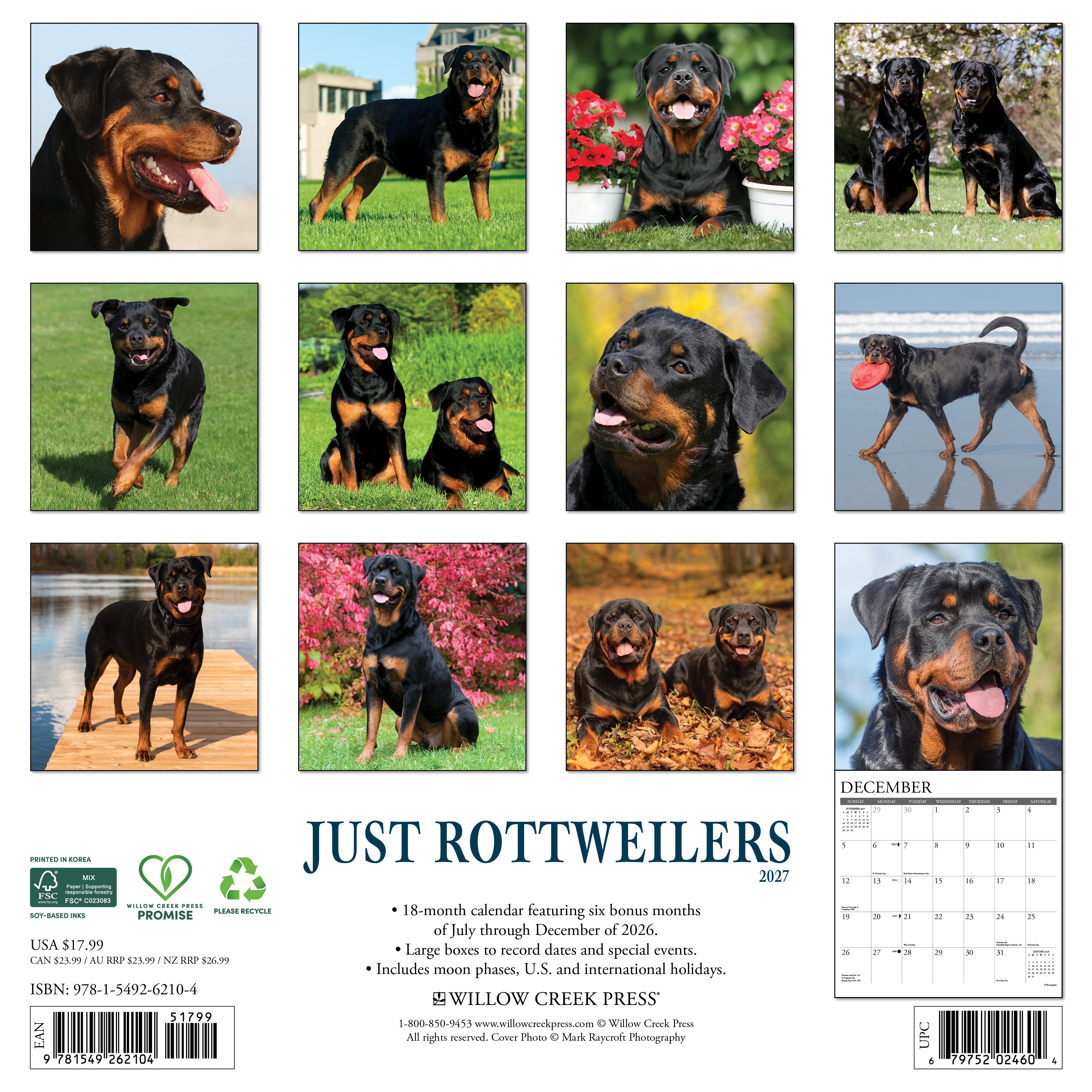 Willow Creek Press, Rottweilers 2027 Wall Calendar