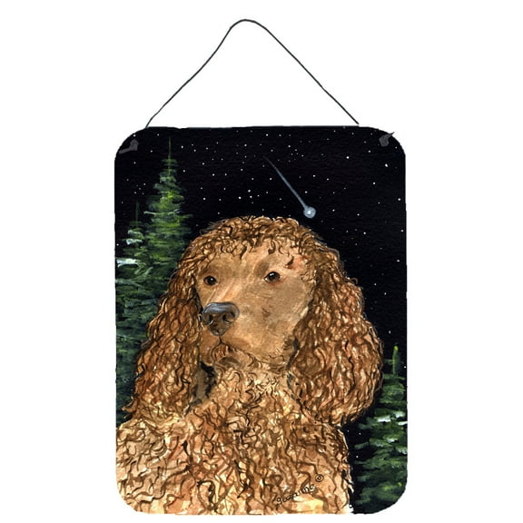 Caroline's Treasures SS8510DS1216 American Water Spaniel Wall or Door Hanging Prints, 12x16, multicolor