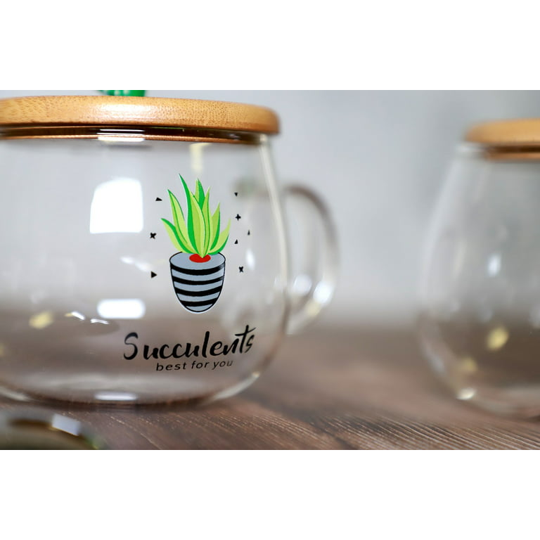 Cute Succulent Mug Glass Mug with Spoon and Wood Lid
