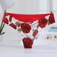 thumbnail image 2 of Ropa interior Sexy de encaje para mujer, bragas transparentes superfinas, tangas huecas más grandes, lote de 1 unidad, dzk09, 2 of 4