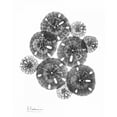 thumbnail image 2 of Koetsier, Albert 12x14 Gold Ornate Wood Framed with Double Matting Museum Art Print Titled - Sand Dollar Arrangement, 2 of 4