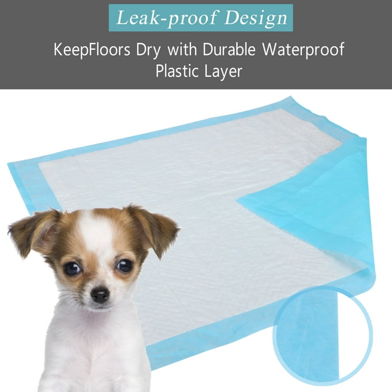 Walmart puppy top pee pads