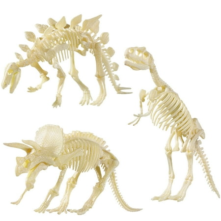 

NUOLUX 3Pcs 4D Fossil Skeleton Figure Loose Parts Assorted Dinosaur Fossil Skeleton Toys DIY For Kids Boys Girls