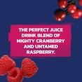 thumbnail image 6 of Ocean Spray® Cran-Raspberry® Cranberry Raspberry Juice Drink, 101.4 fl oz Bottle, 6 of 14