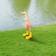 thumbnail image 3 of Ornamentos para Artesanías Patos Zapatos de Color Resina Casa Jardín Arte Conjunto, Grandes 21x7x9.5cm Decorativos Patos Jardín Decoraciones Al Aire Libre, 3 of 5