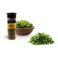 thumbnail image 3 of Pontino Perejil, 14 G, 3 of 5