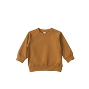 Toddler Baby Girls Boys Casual Pullover Sweatshirt Solid Color Long Sleeve Tops Fall Winter Clothes