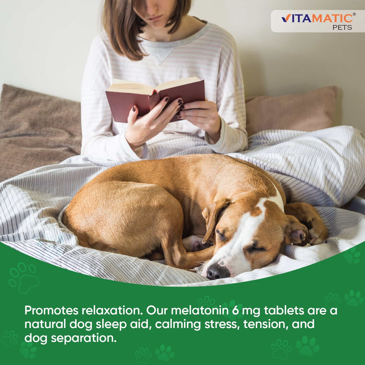 (3 pack) Vitamatic Melatonin for Dogs - 6 mg - 120 Beef Flavored Chewable Tablets