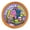 Backpack Buddies Patch, variant on 12 pieces 2" Custom Activity Scouts Applique Fun Patches - Fill a Backpack Patch