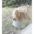 thumbnail image 3 of Miller KC20 20 oz. Kennel Crock, 3 of 3