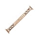 thumbnail image 3 of Correa Para Apple Watch Acero Inoxidable Eslabones/Cadenas, Series 1, 2, 3, 4, 5, 6, 7, 8, 9, 10, SE, ULTRA, 3 of 4
