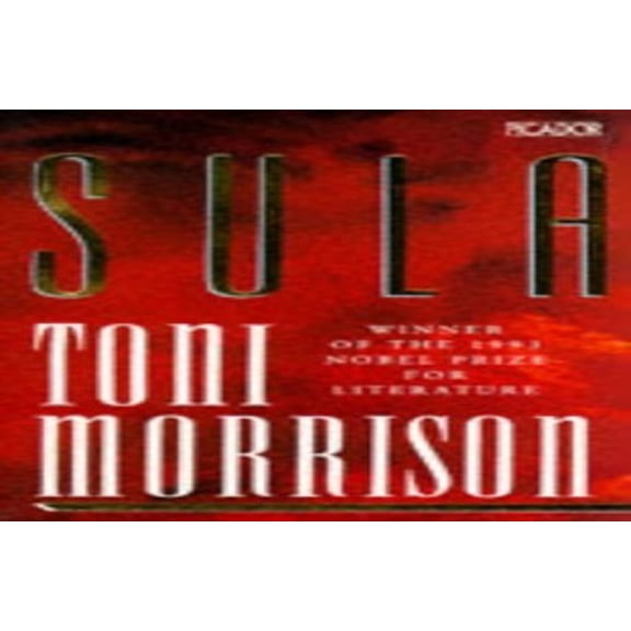 Pre-Owned Sula (Paperback) 033030500X 9780330305006