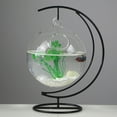 thumbnail image 2 of 4 Size Desktop Glass Hanging Fish Tank Grass Mini Fish Funny Tank Cleaner Fish Iron Cylinder Holder Aquarium Accessories, 2 of 3