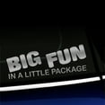 thumbnail image 1 of Big Fun in a Little Package - Vinyl Decal - Choose Color - [SILVER], 1 of 1